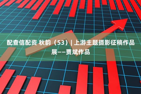 配查信配资 秋韵（53）| 上游主题摄影征稿作品展——贾斌作品
