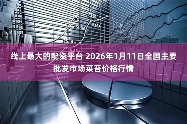线上最大的配资平台 2026年1月11日全国主要批发市场菜苔价格行情
