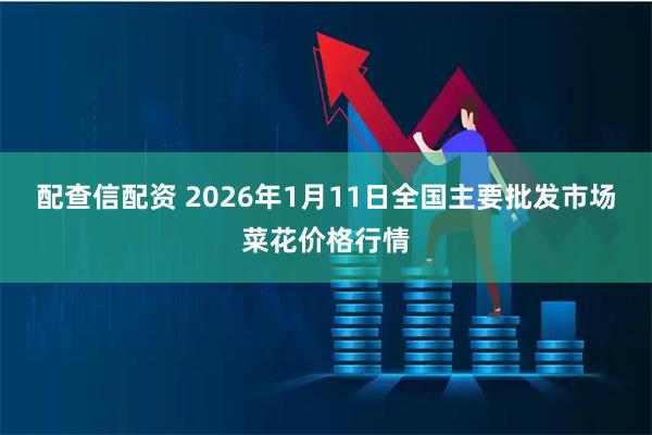 配查信配资 2026年1月11日全国主要批发市场菜花价格行情