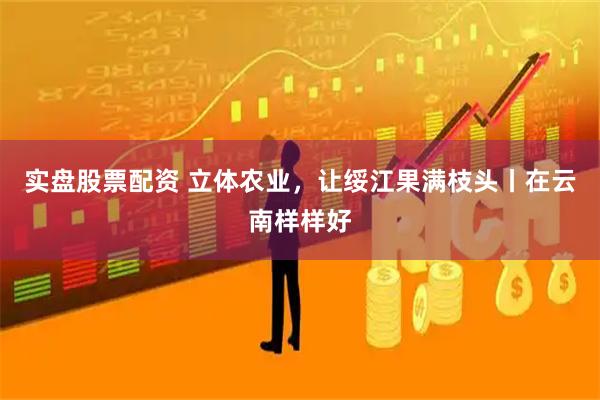 实盘股票配资 立体农业，让绥江果满枝头丨在云南样样好